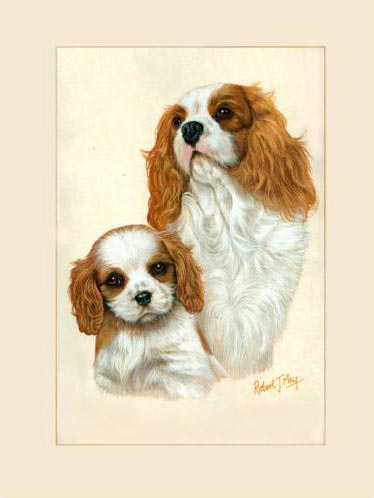 374x498 Original Cavalier King Charles Spaniel Amp Pup Painting - Cavalier King Charles Spaniel Painting