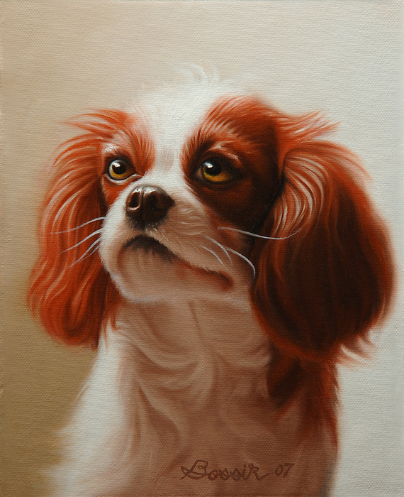 570x700 Pet Portrait Of A Cavalier King Charles Spaniel Painting By Eric - Cavalier King Charles Spaniel Painting