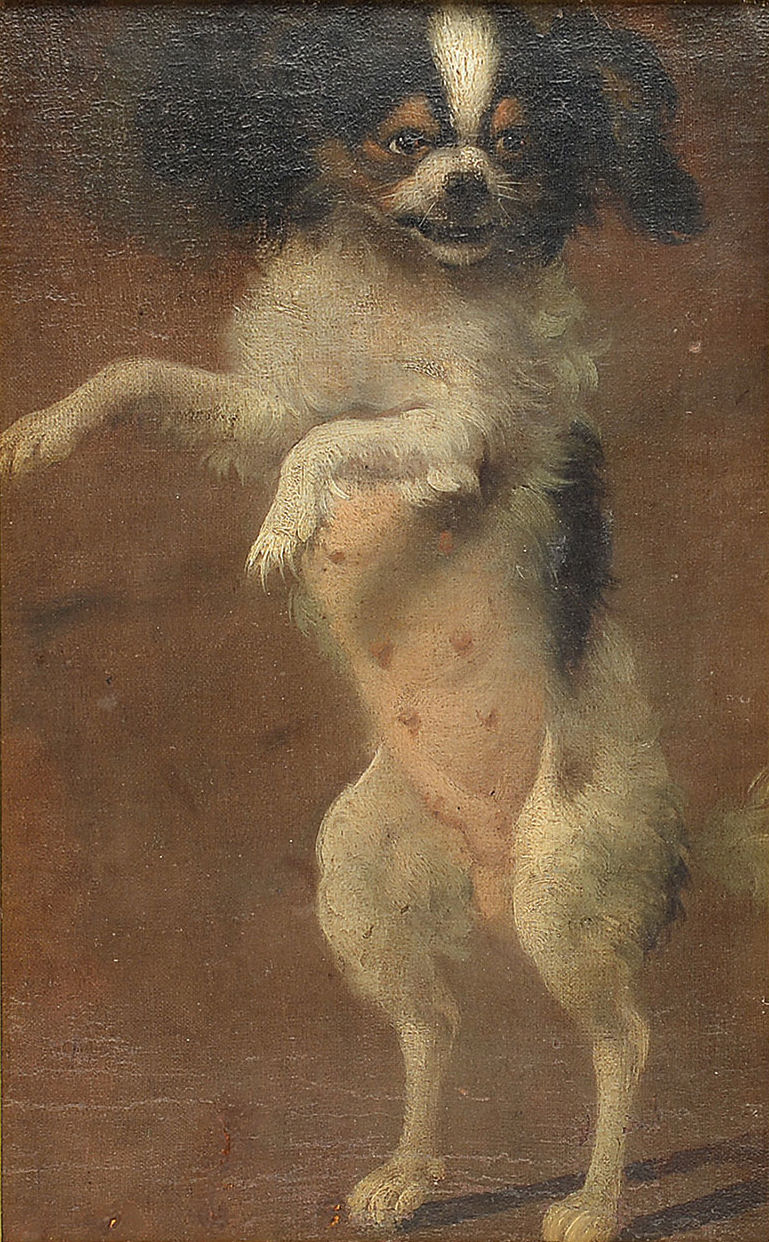 769x1242 Portrait Of A Cavalier King Charles Spaniel Phalene Artware - Cavalier King Charles Spaniel Painting