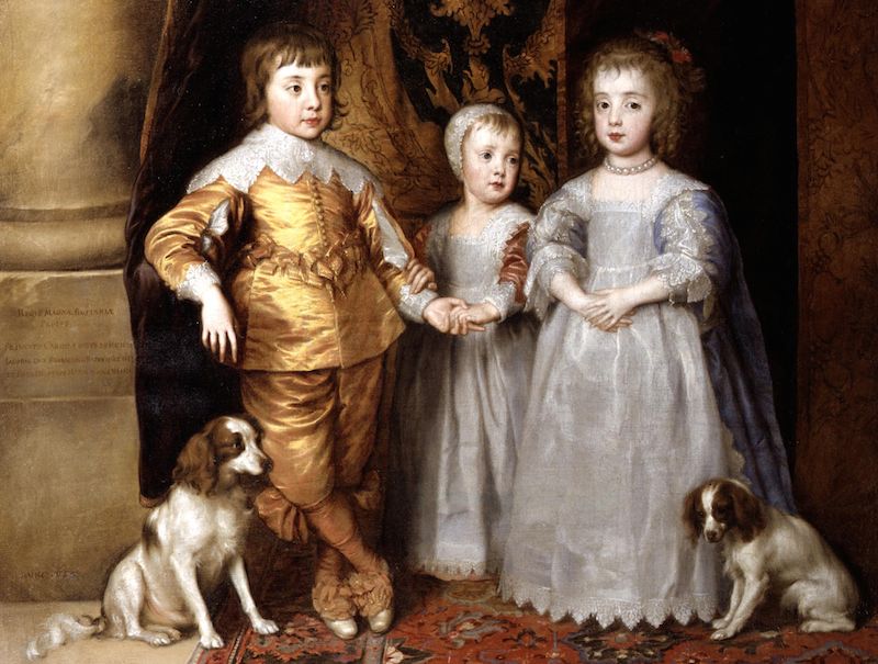 800x605 Cavalier King Charles Spaniel - Cavalier King Charles Spaniel Painting