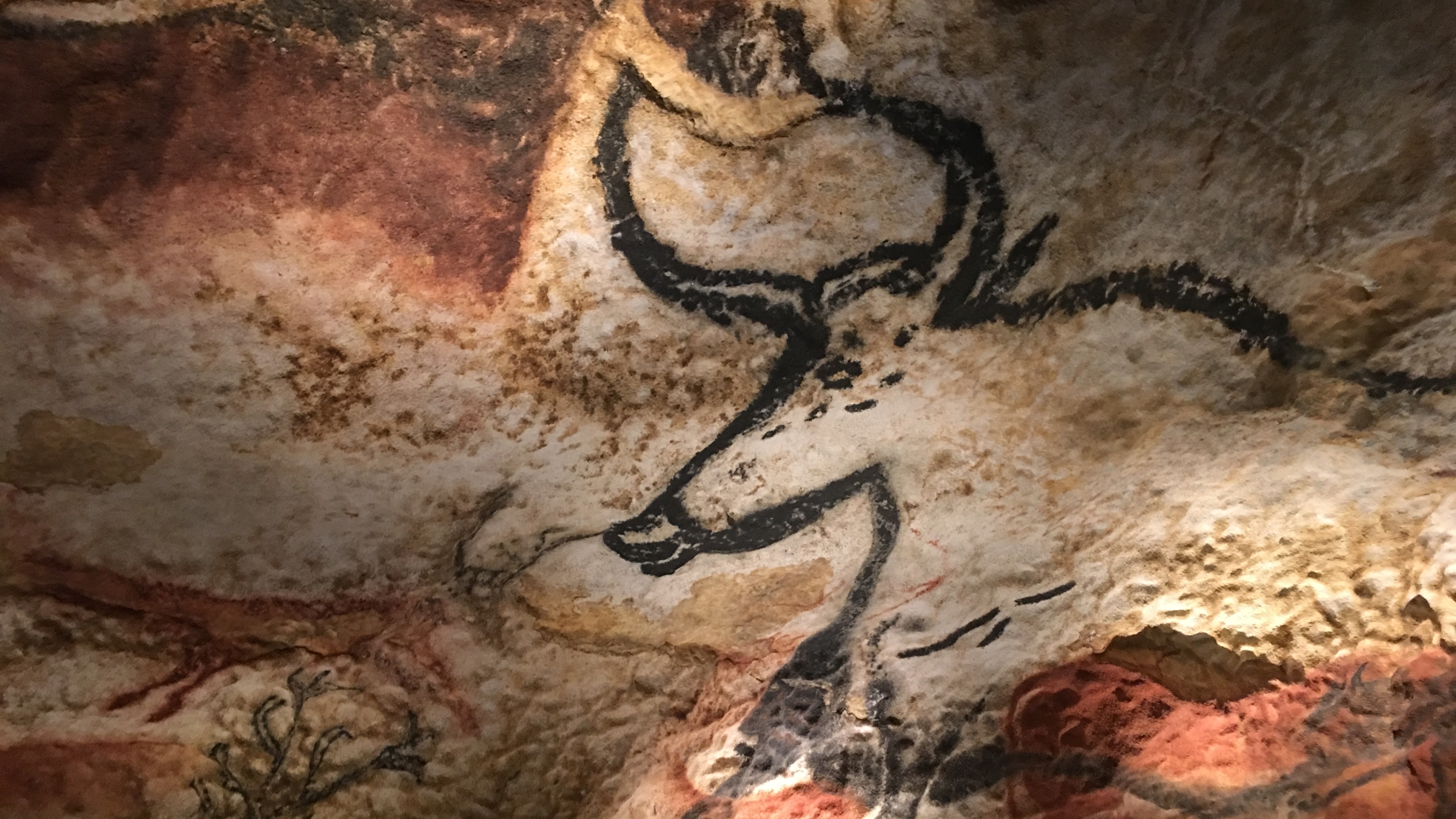 4032x2268 Cave Painting Npr - Cave Painting