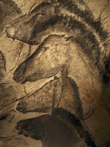 366x488 Stone Age Cave Paintings, Chauvet, France Photographic Print By - Cave Painting Poster