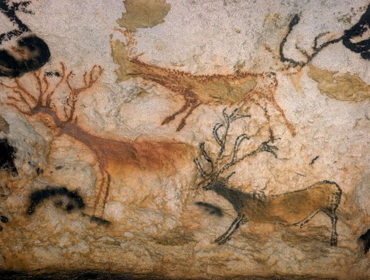 736x557 Chauvet Cave Art Prints For Sale 48 Best Cave Art Images - Cave Painting Prints