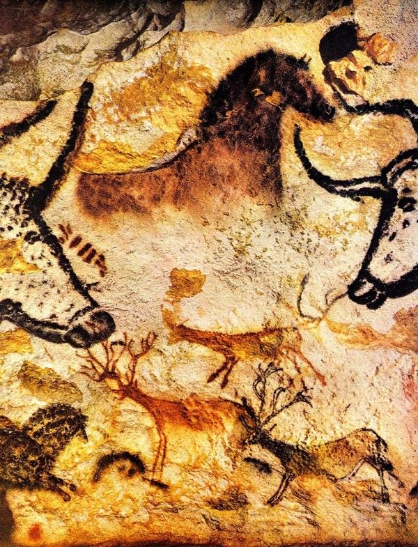 600x785 849 Best Parietal Art Images On Chauvet Cave Art Prints - Cave Painting Prints