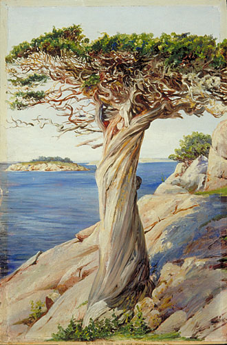 330x500 Kew Marianne North Gallery Painting 207 An Old Red Cedar - Cedar Tree Painting
