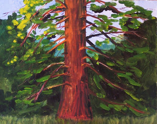 320x253 Painting Small Impressions Giant Cedar Tree Original American - Cedar Tree Painting