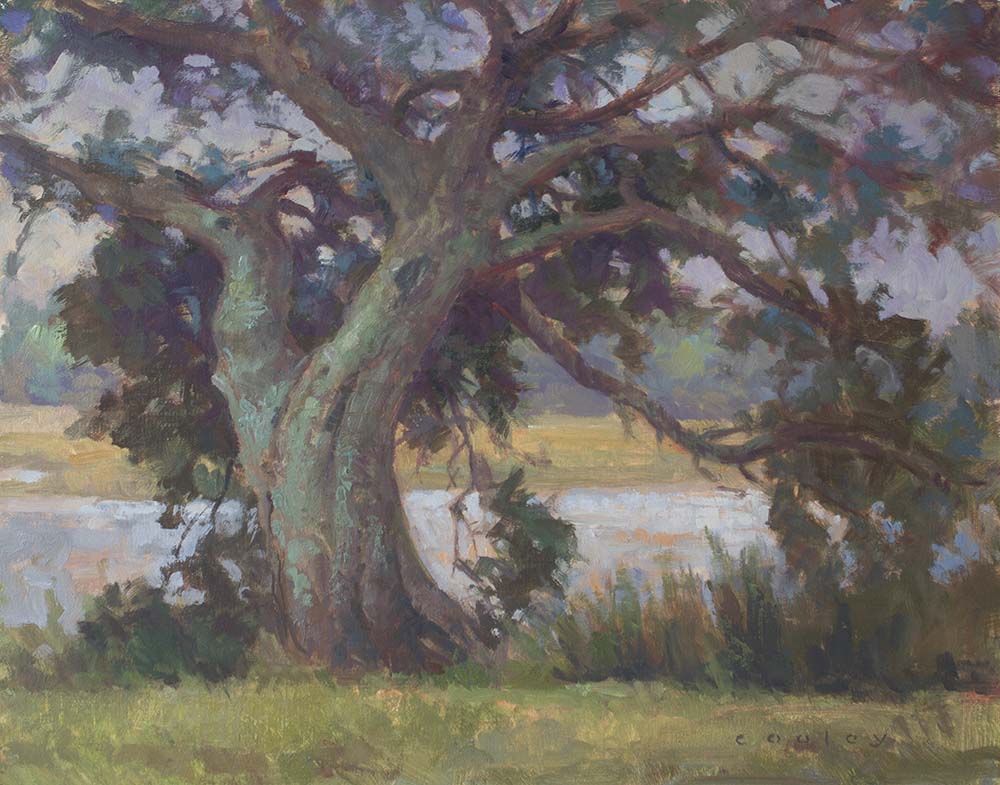 1000x785 St. Simon's Cedar Cooley Art Gallery - Cedar Tree Painting
