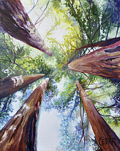 239x300 Cedar Trees Paintings Fine Art America - Cedar Tree Painting