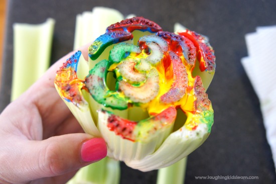 550x366 Celery Flower Stamping Craft For Kids - Celery Painting