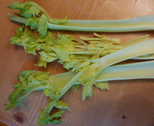 513x420 Painting With Celery Choices For Children - Celery Painting