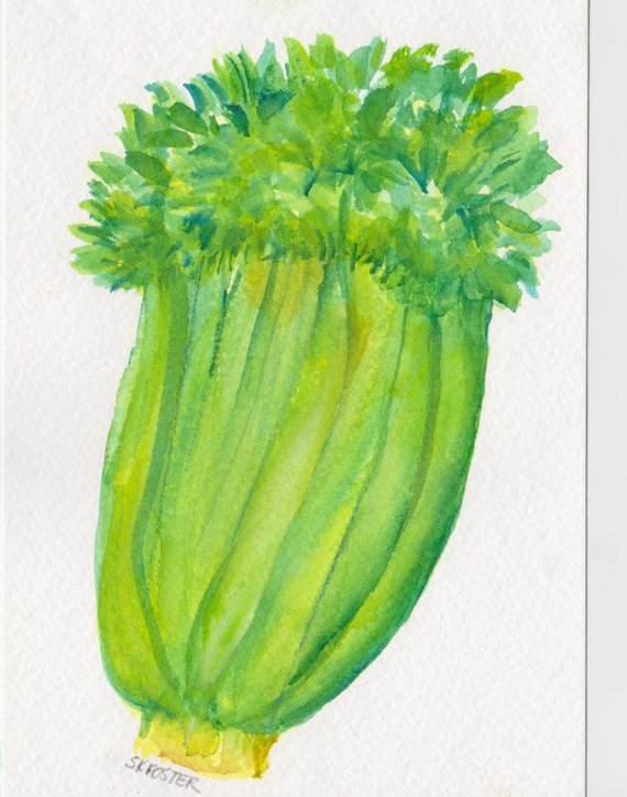 570x724 Celery Watercolor Painting Original Small Vegetable Painting - Celery Painting