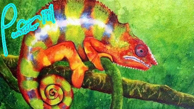 640x360 Speed Painting Of A Chameleon - Chameleon Painting