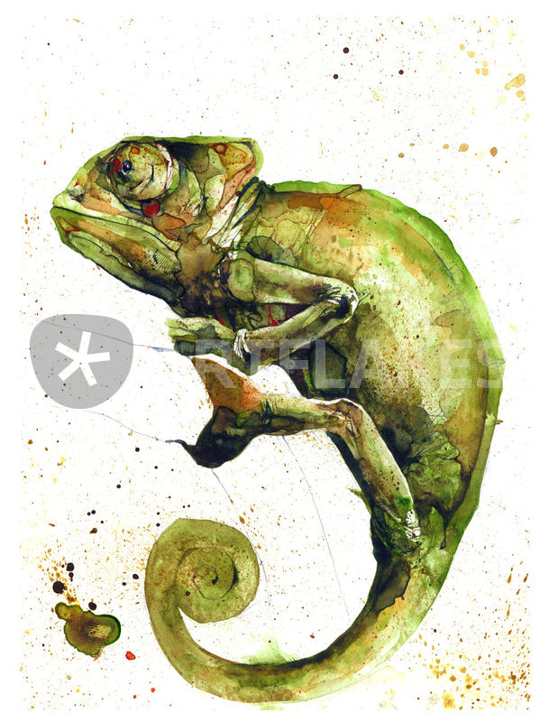 599x800 Chameleon Painting Art Prints And Posters By Luca Bergeretti - Chameleon Painting
