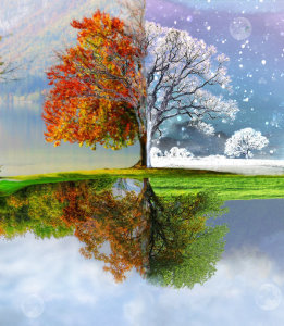 261x300 Prepping Your Home For The Changing Seasons Part 1 Of 4 Kg - Changing Seasons Painting