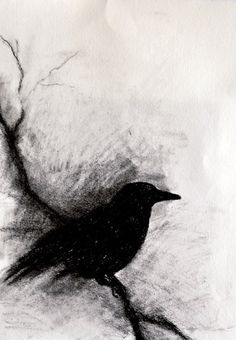 236x340 Raven On A Branch Original Charcoal Drawing Gothic Halloween Wall - Charcoal Painting Images