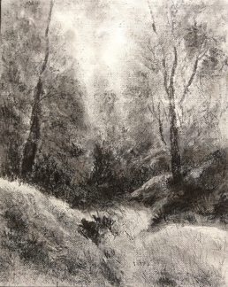 258x324 Paintings Drawings By Manju Panchal Combining Charcoal - Charcoal Painting On Canvas