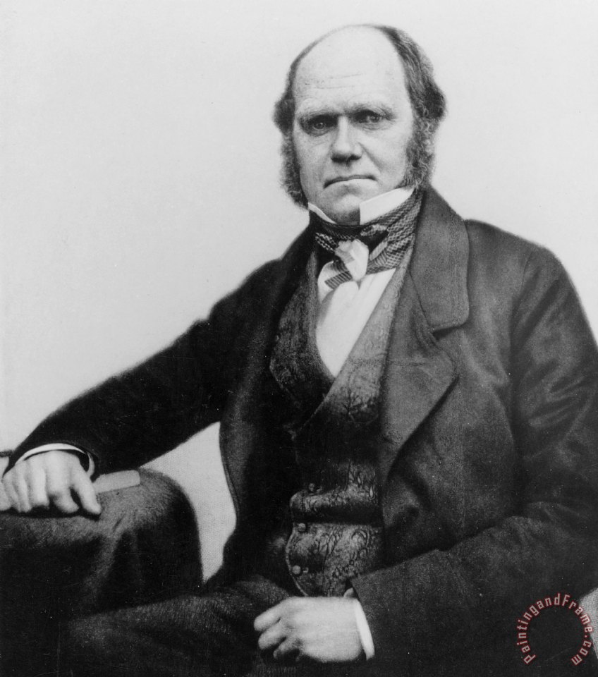 Charles Darwin Painting At PaintingValley.com | Explore Collection Of ...