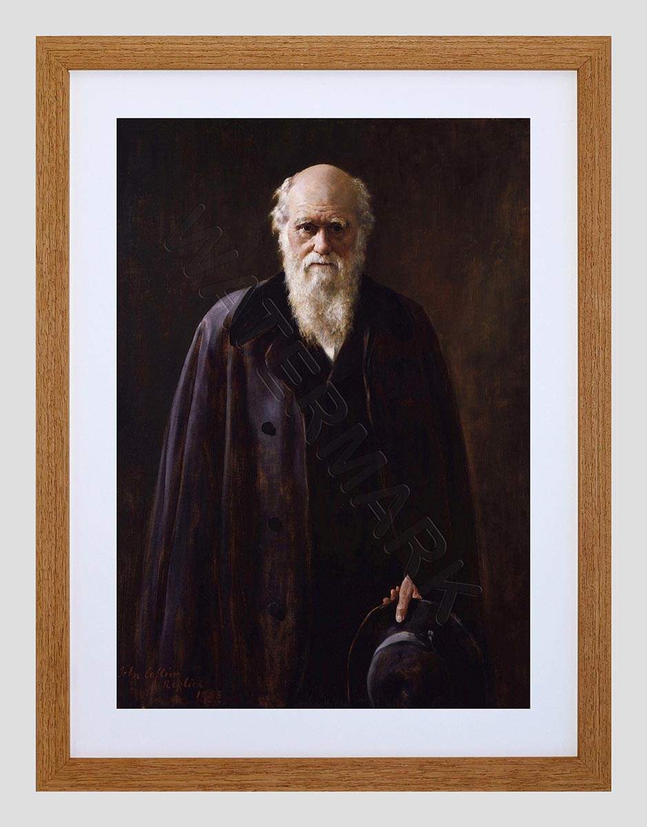939x1200 Painting Collier Portrait Scientist Charles Darwin Framed Art - Charles Darwin Painting