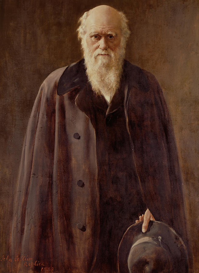 654x900 Portrait Of Charles Darwin Painting By John Collier - Charles Darwin Painting