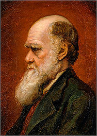 200x280 Portraits Of Charles Darwin - Charles Darwin Painting