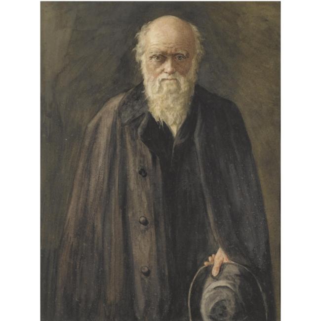 650x650 British Paintings John Collier - Charles Darwin Painting