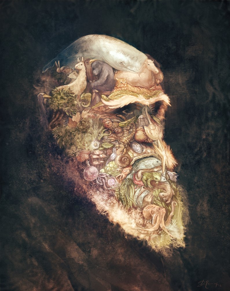 795x1004 Portrait Of Charles Darwin By Deevad - Charles Darwin Painting