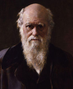 Charles Darwin Painting at PaintingValley.com | Explore collection of ...