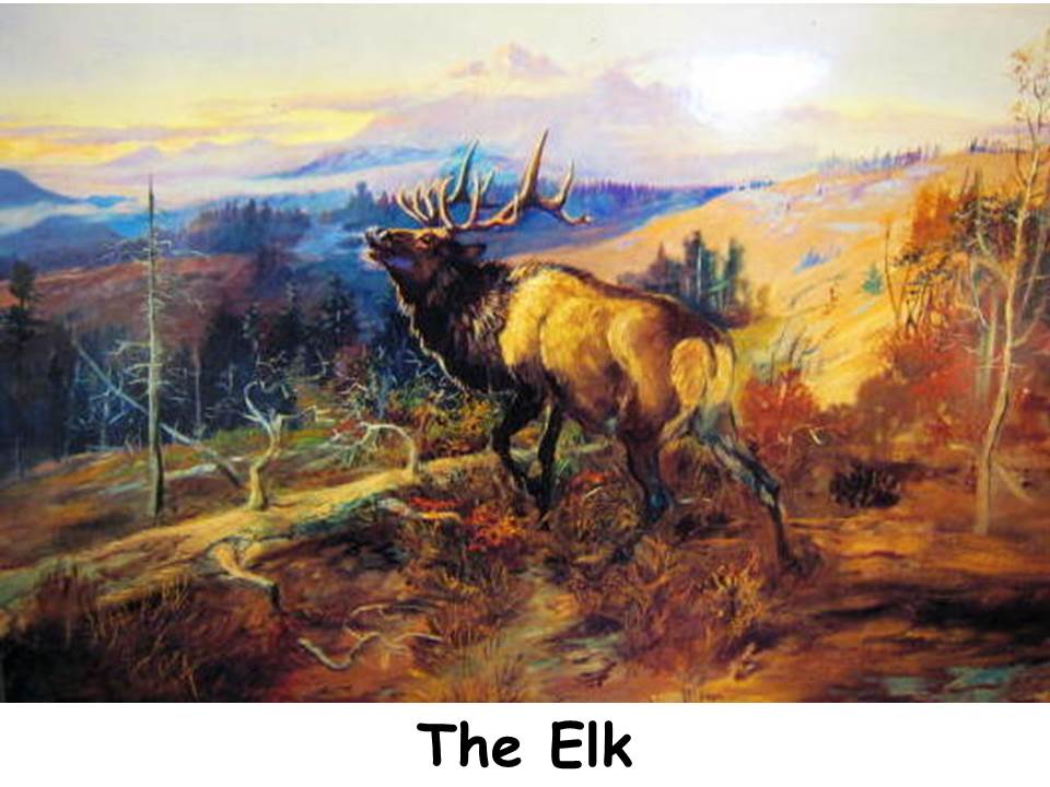 960x720 Packet - Charlie Russell Painting