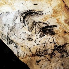 236x238 On The Origins Of The Arts Chauvet Cave, Cave And Harvard - Chauvet Cave Painting