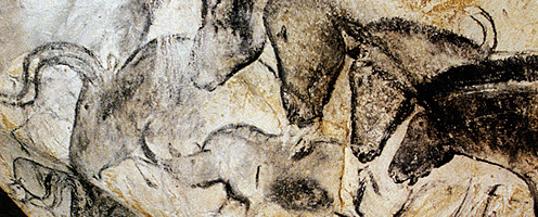 496x200 The Cave Art Paintings Of The Chauvet Cave - Chauvet Cave Painting