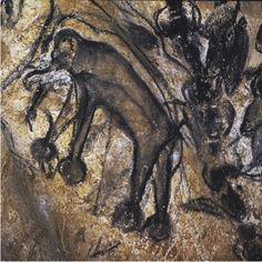 236x236 The Cave Of Forgotten Dreams Rhinos, Cave - Chauvet Cave Painting