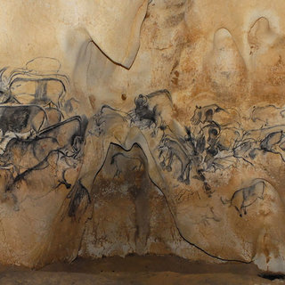 320x320 The Cave Paintings Of The Chauvet Cave Are Among The Oldest - Chauvet Cave Painting