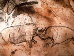 300x229 Bear Dna Is Clue To Age Of Chauvet Cave Art New Scientist - Chauvet Cave Painting