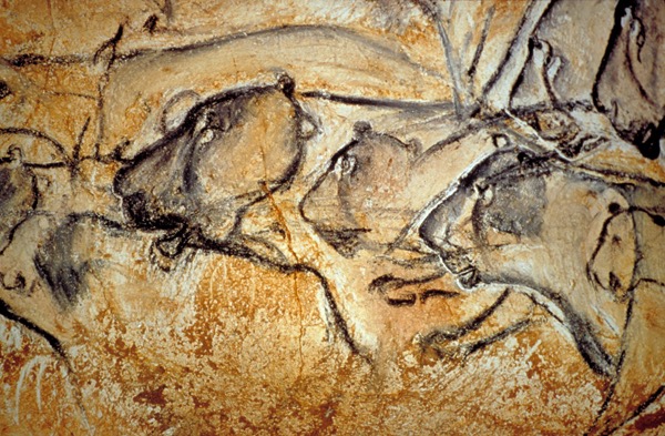 Chauvet Cave Painting at PaintingValley.com | Explore collection of ...