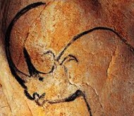 190x164 Chauvet Cave Paintings Earliest Prehistoric Murals Discovery, Layout - Chauvet Cave Painting