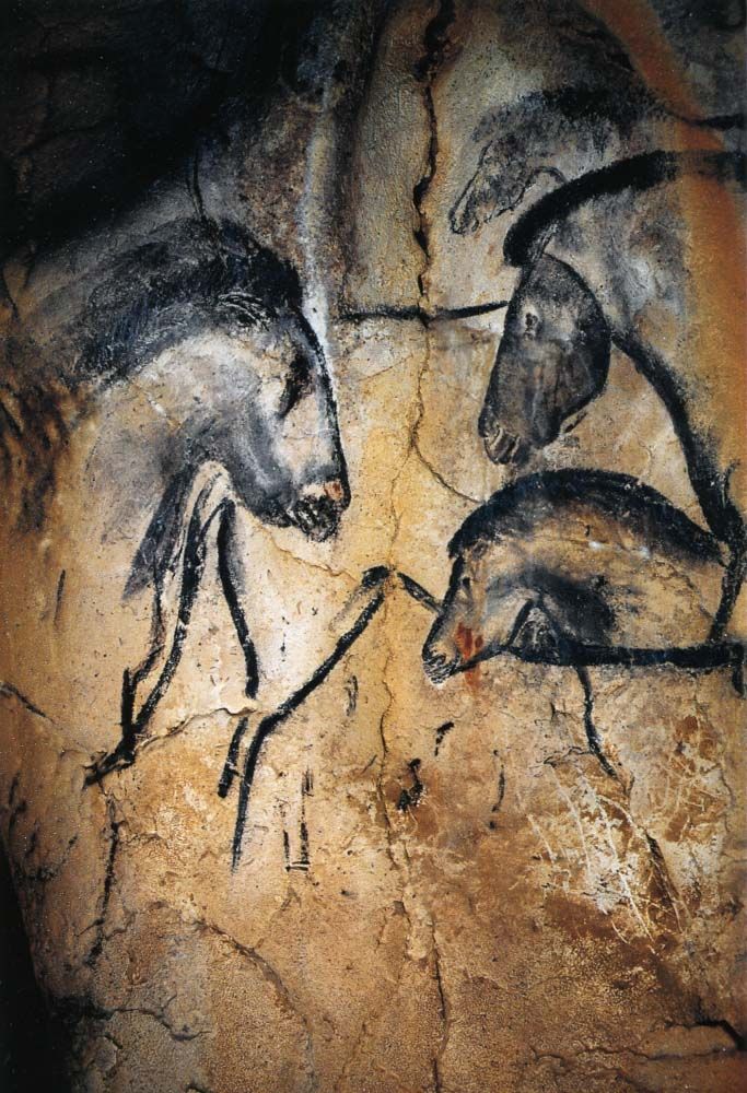 683x1000 Chauvet Cave Paintings Meaning Chics Type - Chauvet Cave Painting Prints
