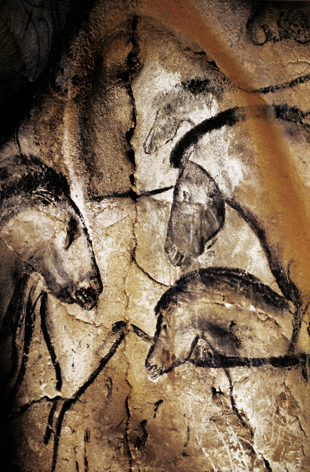 Chauvet Cave Painting Prints At PaintingValley Com Explore Collection   Chauvet Cave Painting Prints 17 