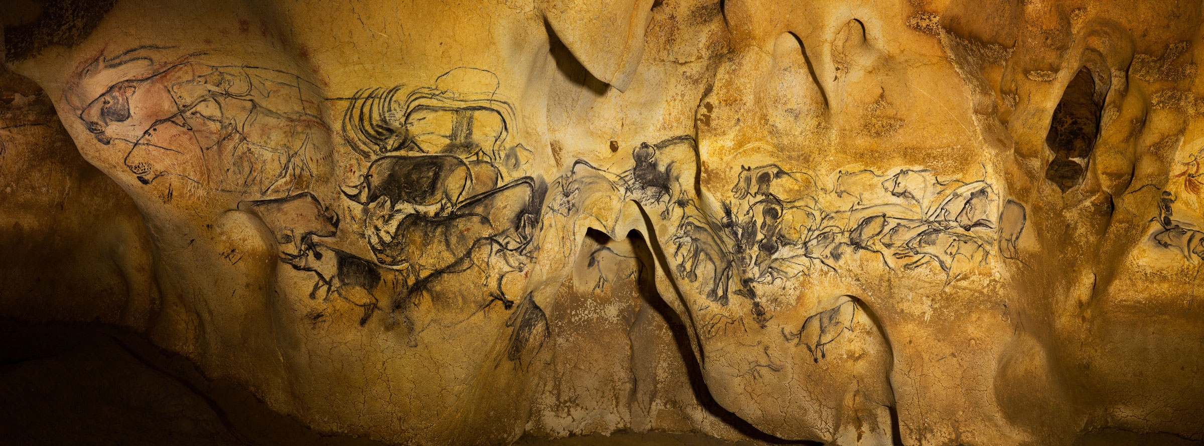 2400x889 Indonesian Cave Paintings May Be Among World's Oldest Art - Chauvet Cave Painting Prints