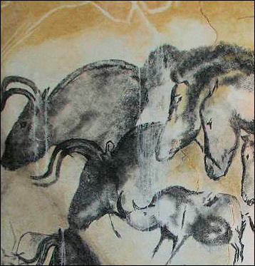 358x373 Lascaux Cave And Chauvet Cave Facts And Details - Chauvet Cave Painting Prints