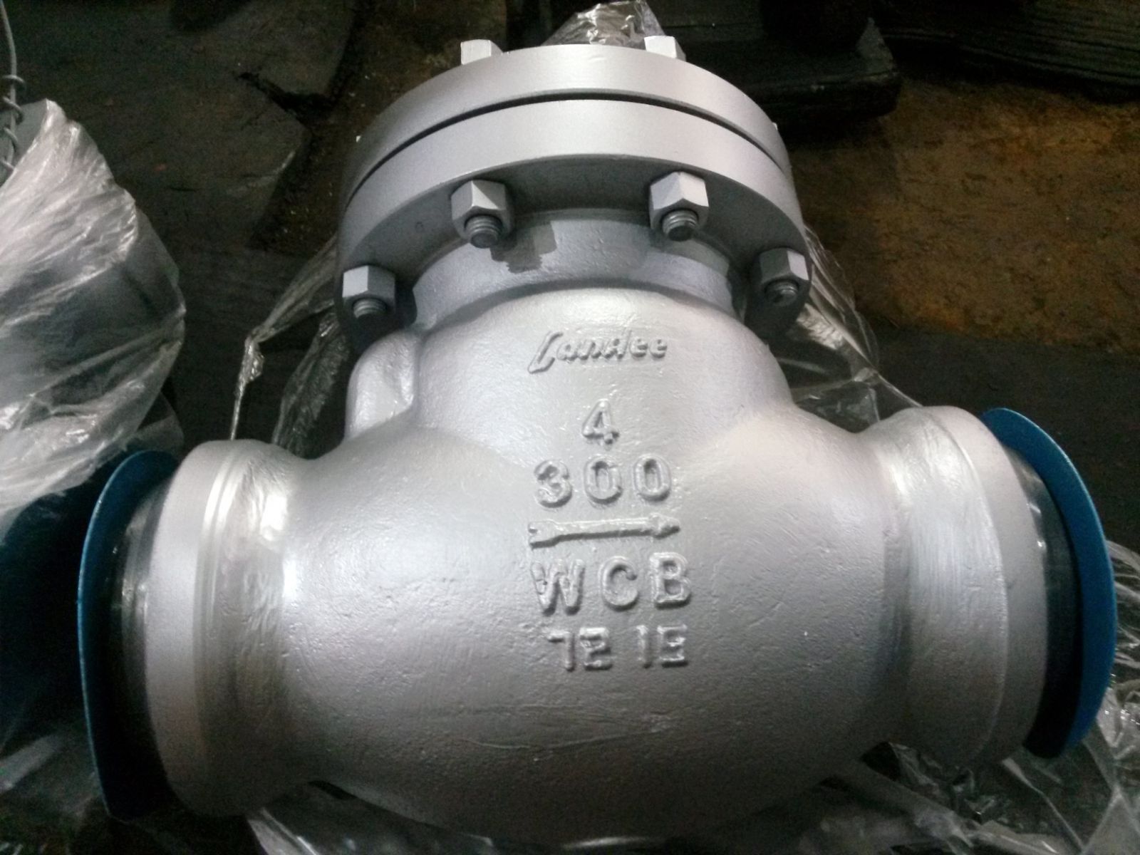 1600x1200 Wcb Check Valve, Dn100, Pn50, Grey Painting - Check Painting