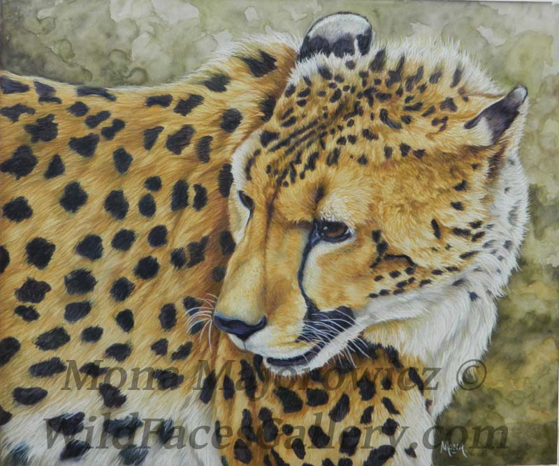 800x668 Cheetah Painting Pretty Much Done. Fur In The Paint - Cheetah Painting