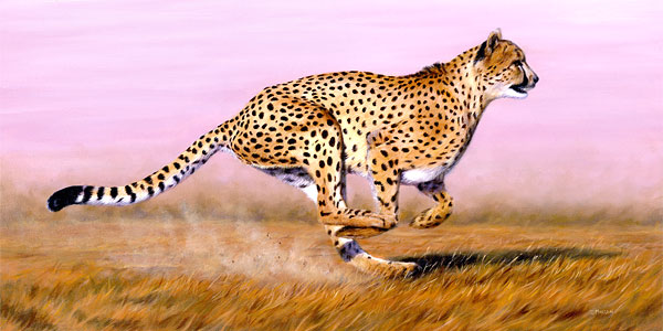 600x300 Cheetah Paintings And Prints - Cheetah Painting
