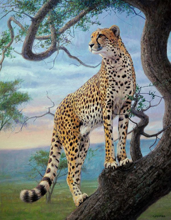 600x769 Cheetah Painting By Gabriel Hermida Art - Cheetah Painting