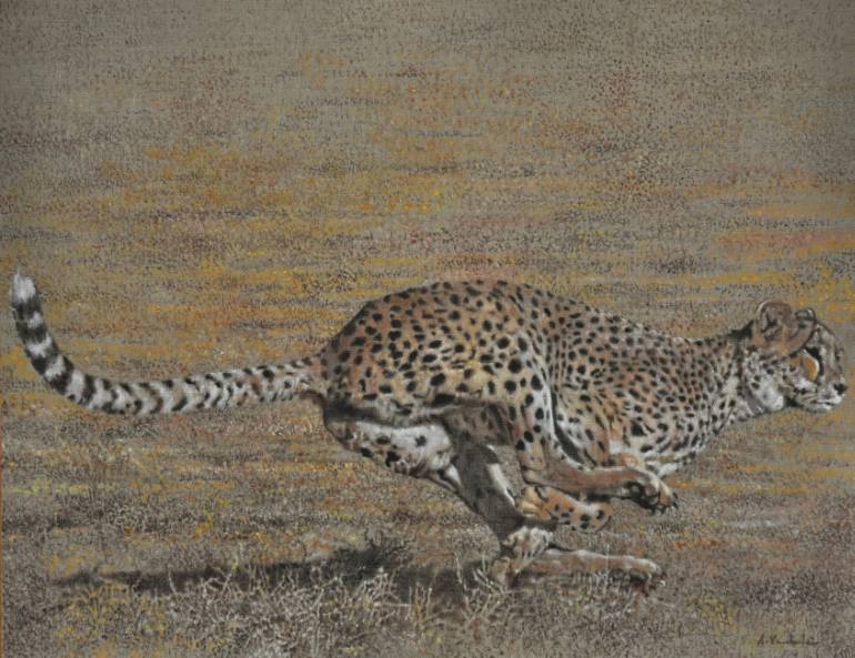 770x593 Saatchi Art Cheetah Painting By Angelo Vadala - Cheetah Painting