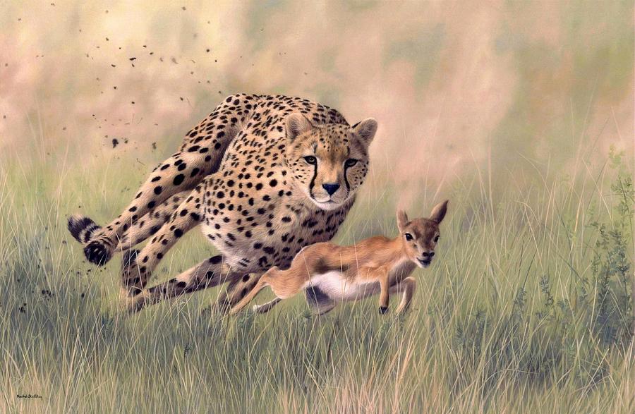 900x587 Cheetah And Gazelle Painting Painting By Rachel Stribbling - Cheetah Painting