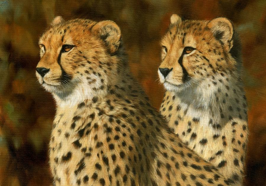 900x629 Cheetah Brothers Painting By David Stribbling - Cheetah Painting