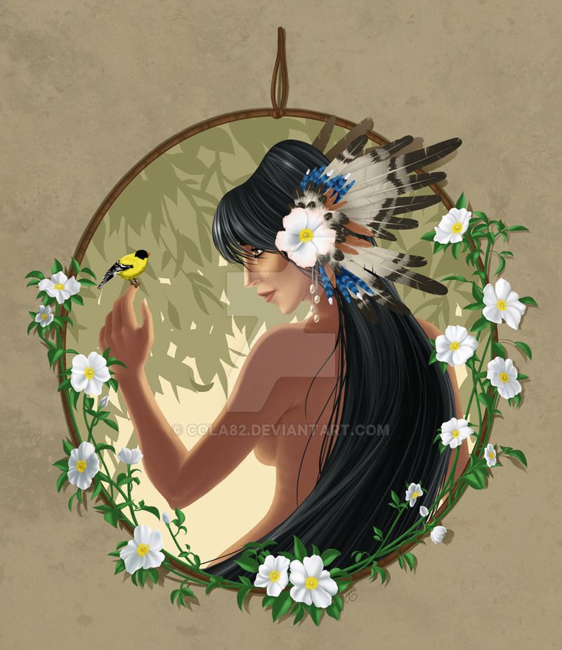 800x925 Cherokee Rose By Cola82 Native American Culture - Cherokee Rose Painting