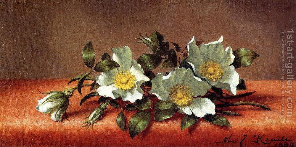 1000x499 The Cherokee Rose Martin Johnson Heade Reproduction 1st Art Gallery - Cherokee Rose Painting
