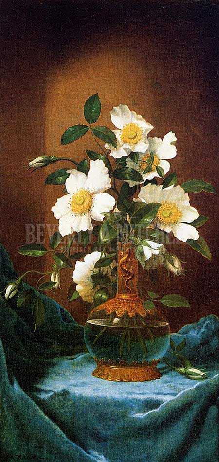 450x948 White Cherokee Roses In A Salamander Vase By Martin Johnson Heade - Cherokee Rose Painting