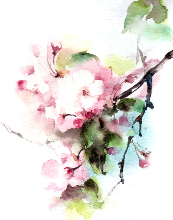 570x726 Cherry Blossoms Watercolor Painting Art Print, Pink Green Floral - Cherry Blossom Branch Painting